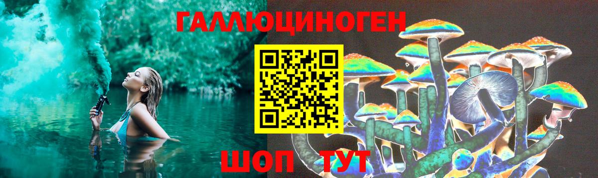 Псилоцибиновые грибы GOLDEN TEACHER Великий Устюг